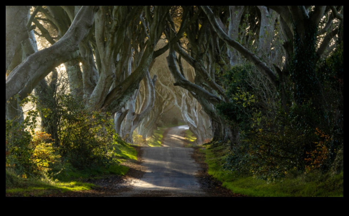 Μυστικά σύνθεσης: Απελευθερώστε τη δύναμη της εξαιρετικής φωτογραφίας