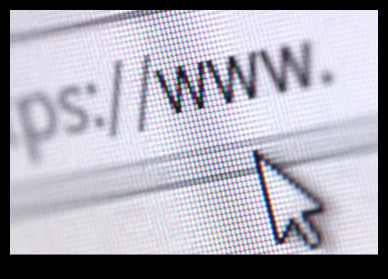 The Web Revolution: Shaping the Visual Online Landscape