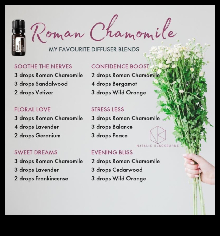 Ελιξίρια χαμομηλιού: Ένας οδηγός για τη δημιουργία τέλειων μιγμάτων χαλάρωσης