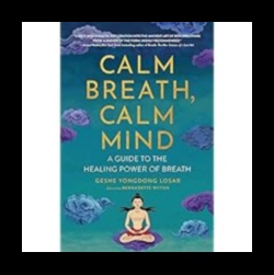 Ήρεμη αναπνοή, καθαρό μυαλό: Ξεκλειδώνοντας τη δύναμη της χαλάρωσης