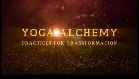 Asana Alchemy: The Transformative Magic of Yoga Meditation