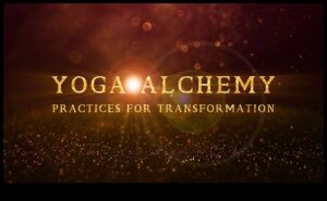 Asana Alchemy: The Transformative Magic of Yoga Meditation
