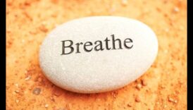 Breathing Bliss: A Symphony of Breath in the World of Stress Relief Wisdom