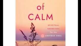 Calm Chronicles: Journeys Through the Calmness of Effective Relaxation Techniques