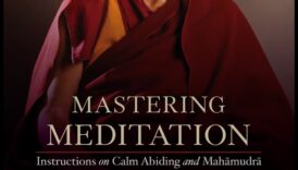 Mastering the Mind: The Beauty of Meditation Explored