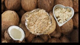 Nutrient Boost: Θρέφετε το σώμα σας με σπιτικό γάλα καρύδας