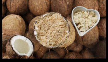 Nutrient Boost: Θρέφετε το σώμα σας με σπιτικό γάλα καρύδας