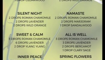 Ελιξίρια χαμομηλιού: Ένας οδηγός για τη δημιουργία τέλειων μιγμάτων χαλάρωσης